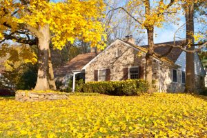 fall roofing maintenance tips