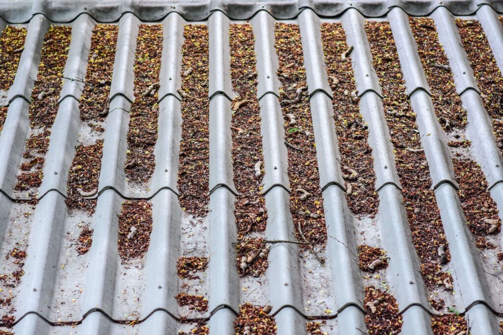 roof spring cleaning