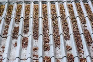 roof spring cleaning