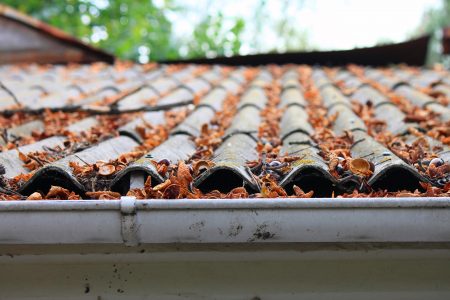 up close picture as roof with leaves