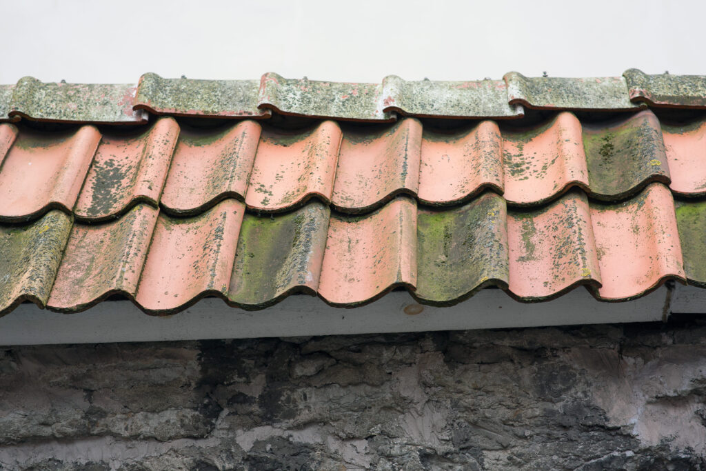old roof